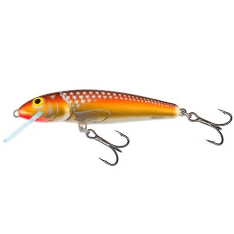 minnow gom