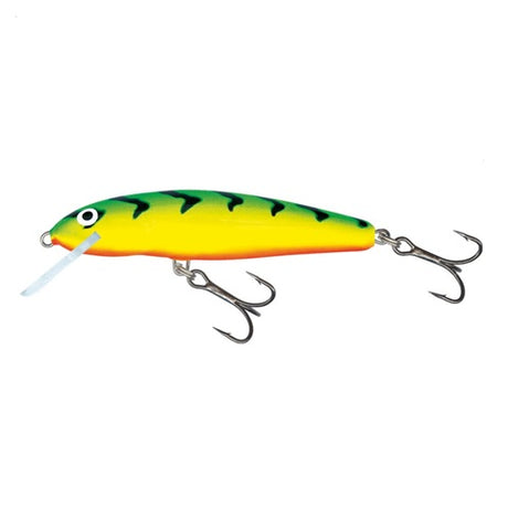 minnow grt