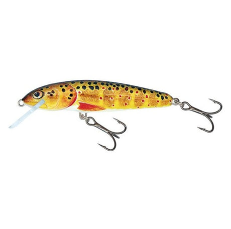 minnow tro